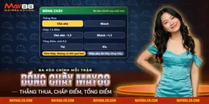 Cá cược bóng chày May88 với bảng kèo thắng thua, chấp điểm và tổng điểm của một trận