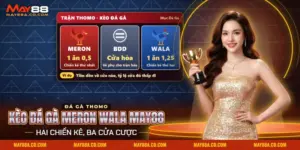 Kèo đá gà Meron Wala May88 với hai cửa Meron, Wala kèm tỷ lệ và cửa BDD cho trận hòa