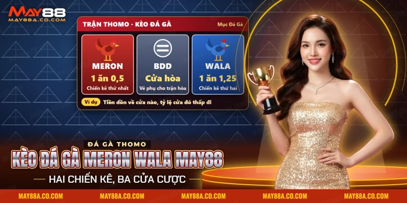 Kèo đá gà Meron Wala May88 với hai cửa Meron, Wala kèm tỷ lệ và cửa BDD cho trận hòa