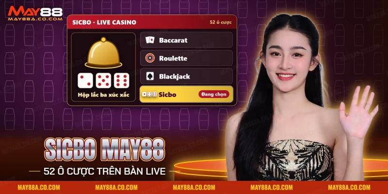 Sicbo May88 với ba xúc xắc, nắp úp và danh sách bàn trong sảnh Live Casino